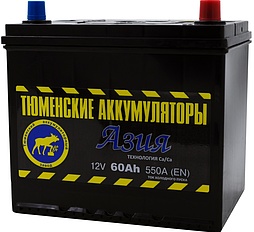 АКБ ТЮМЕНСКИЕ АККУМУЛЯТОРЫ АЗИЯ 6ст-60 (о.п.) 550А 231*173*223 