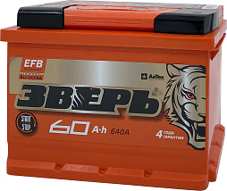 АКБ ЗВЕРЬ EFB 6ст-60 (п.п.) 640А 242*175*190